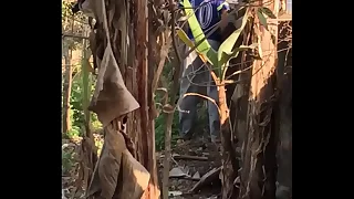 Xem trai &dstrok;i &dstrok;&aacute;i